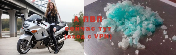 спайс Беломорск