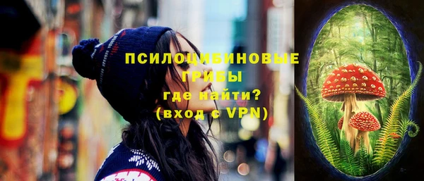 PSILOCYBIN Белокуриха