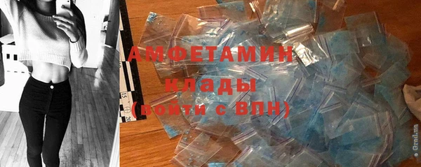 PSILOCYBIN Белокуриха