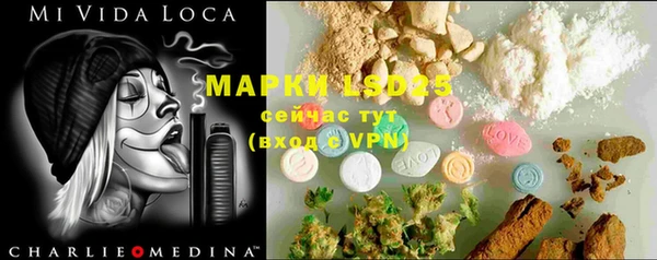 PSILOCYBIN Белокуриха